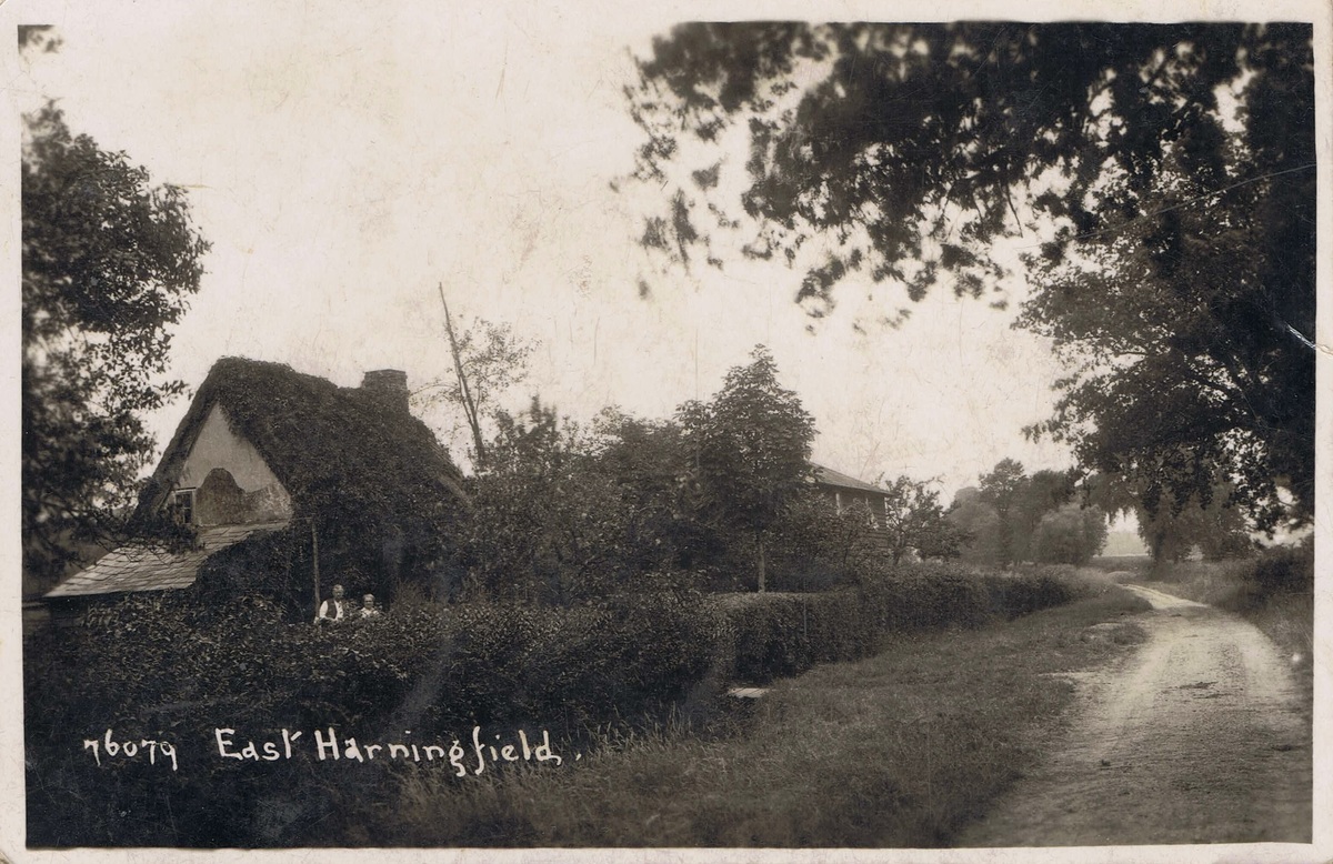 Back Lane (FS76079)